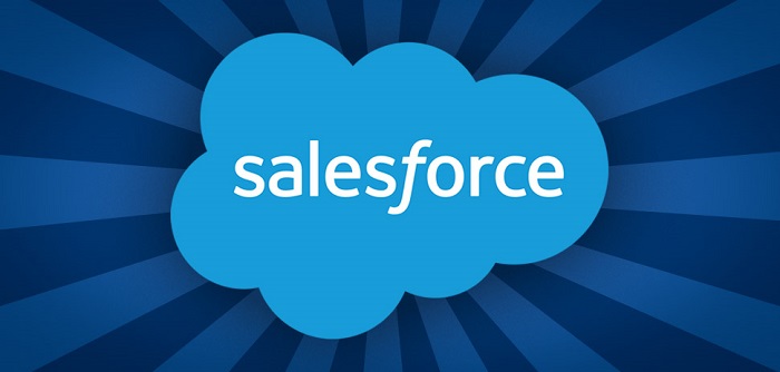 Salesforce For Small Business.